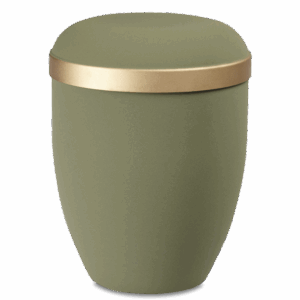 Urnes Biodegradables