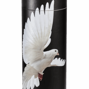 Urnes Carton