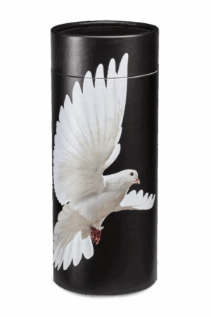 Urnes Carton